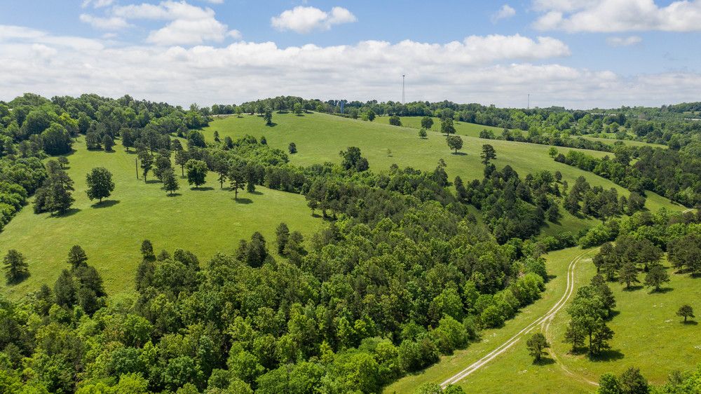 Mary Dotty Subdivision-Development : Old Hwy US 65, Omaha , AR 72662